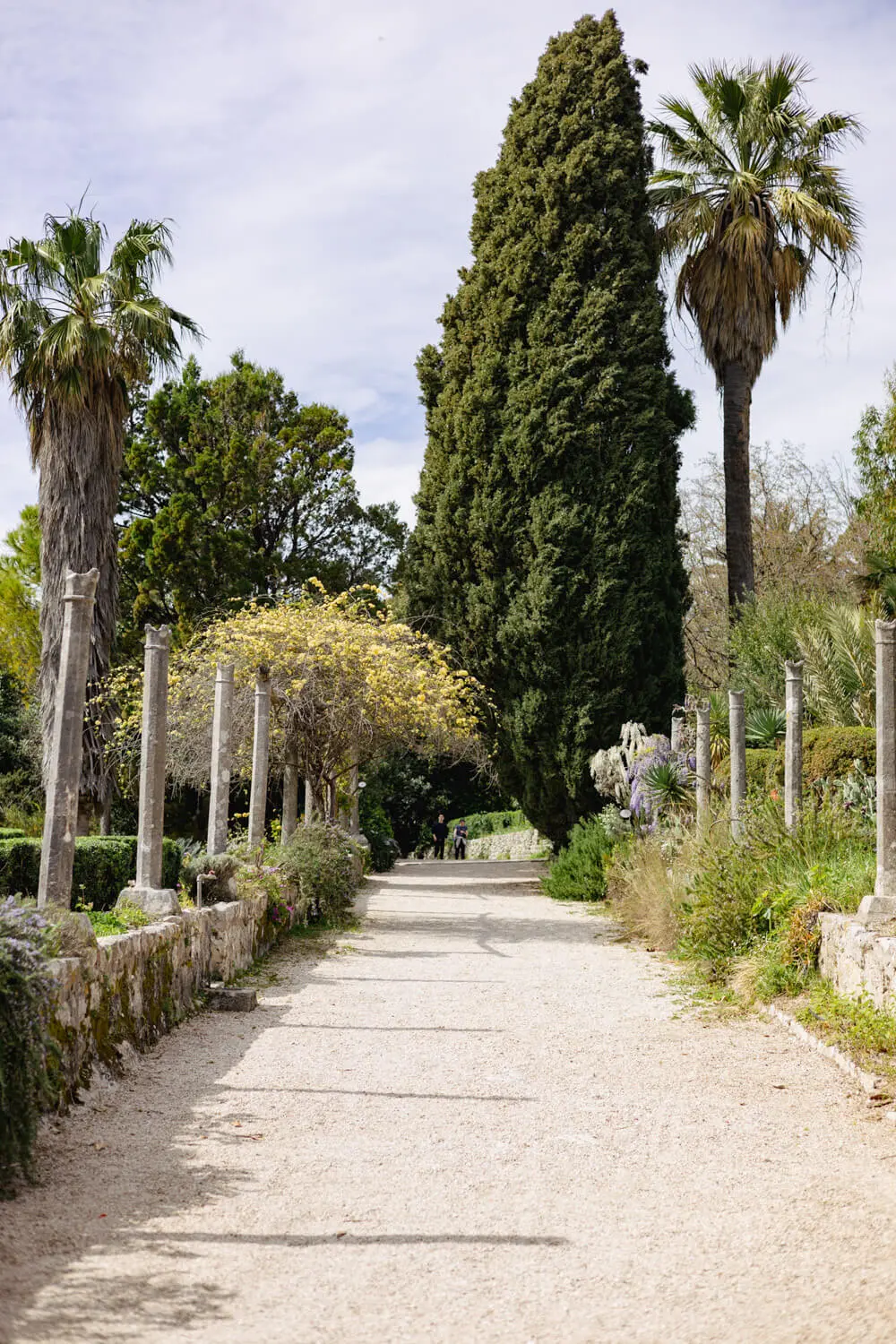 arboretum trsteno
