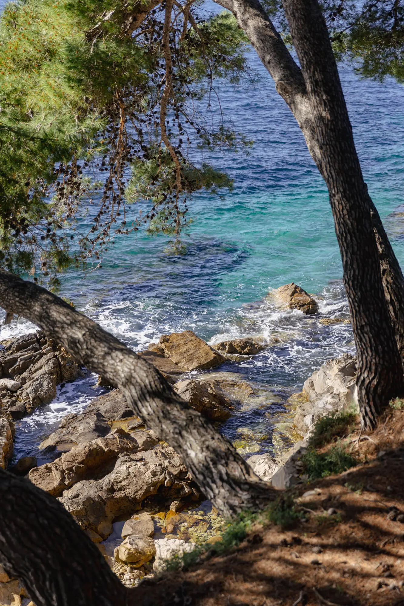cavtat day trip from dubrovnik