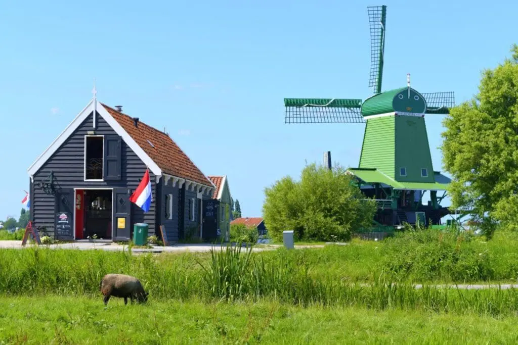 Zaanse Schans