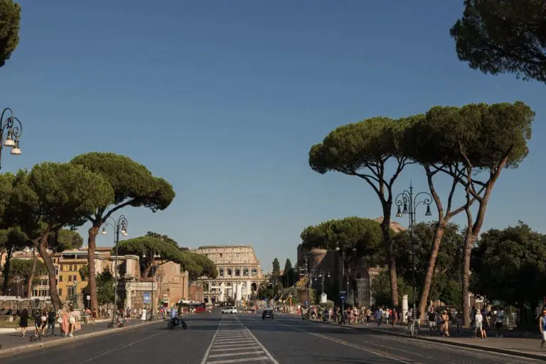 rome colosseum