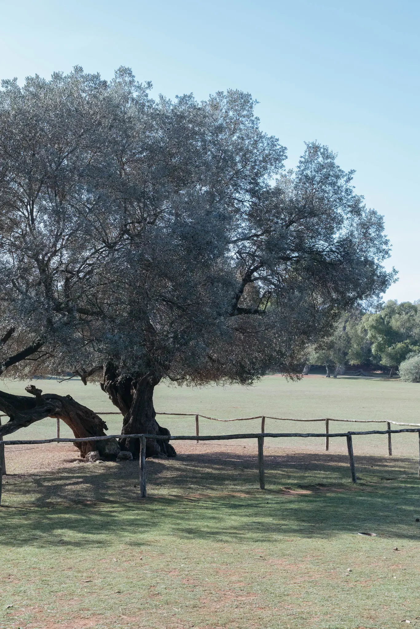 brijuni national park guide
