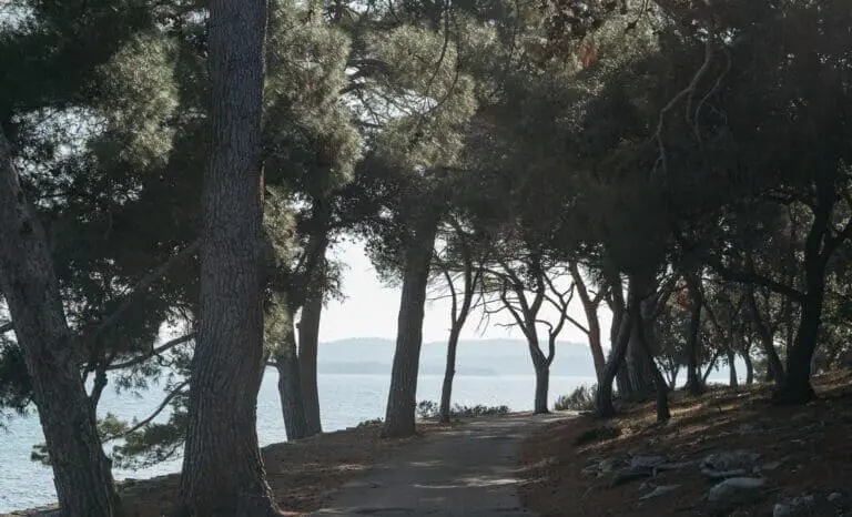 Brijuni np