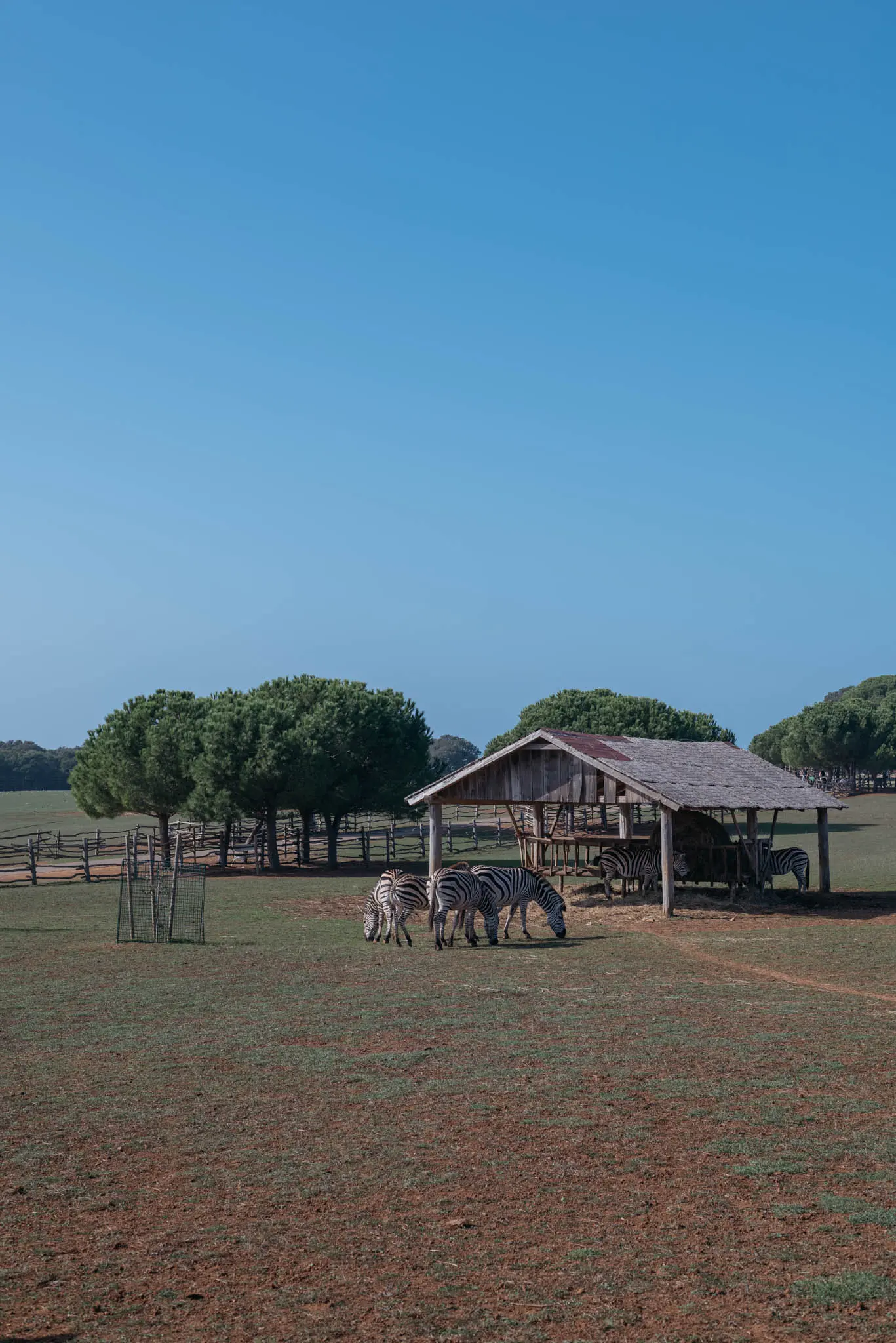 things to do in istria