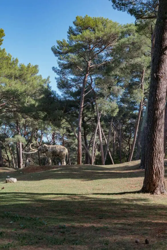 Brijuni in Istria