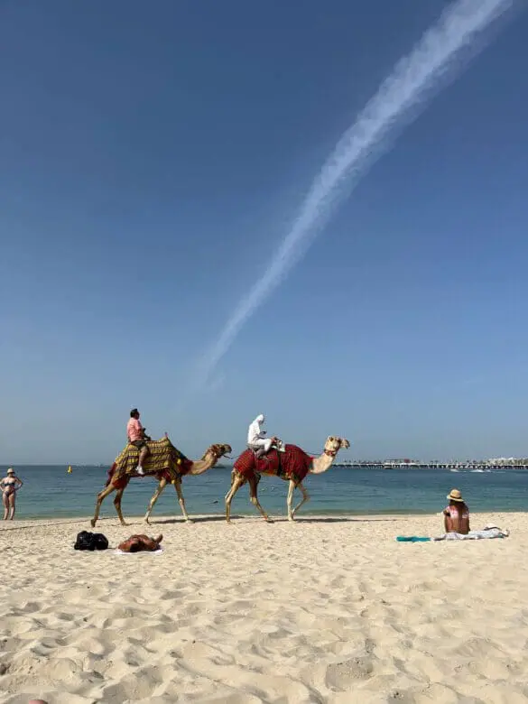 Dubai beachwear bikini