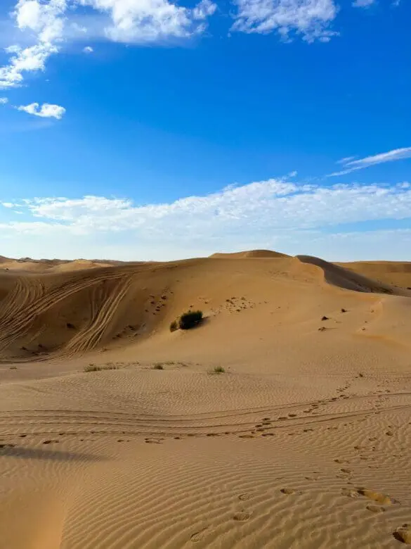 Dubai desert temperatures 