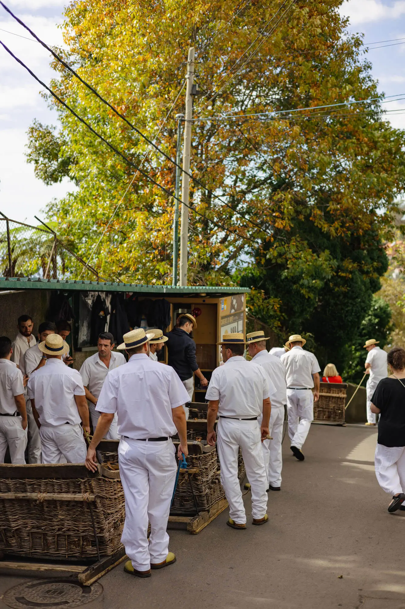 Funchal Madeira toboggan