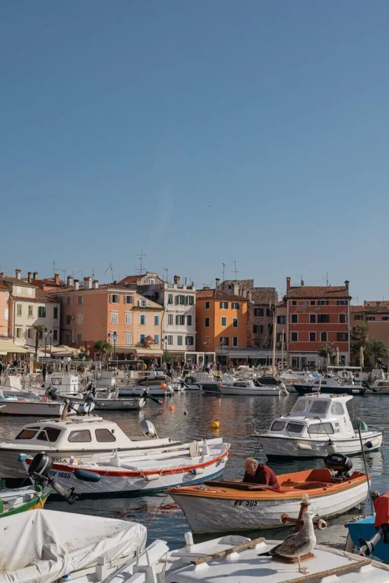 rovinj harbor