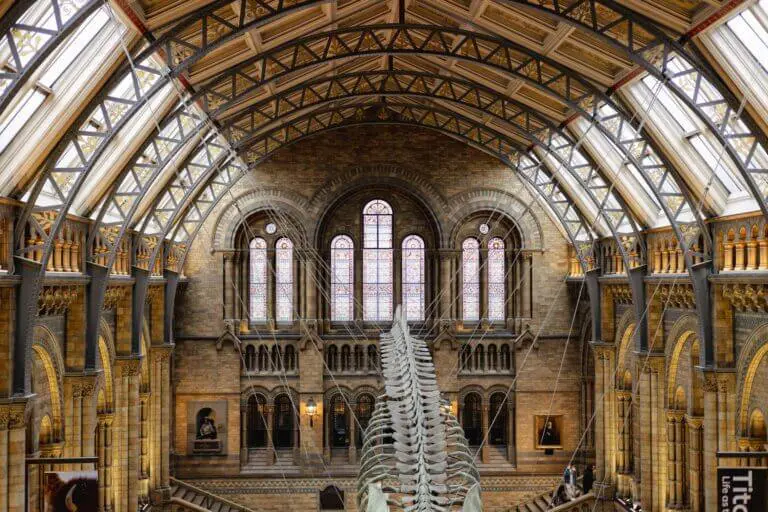 NATURAL HISTORY MUSEUM LONDON