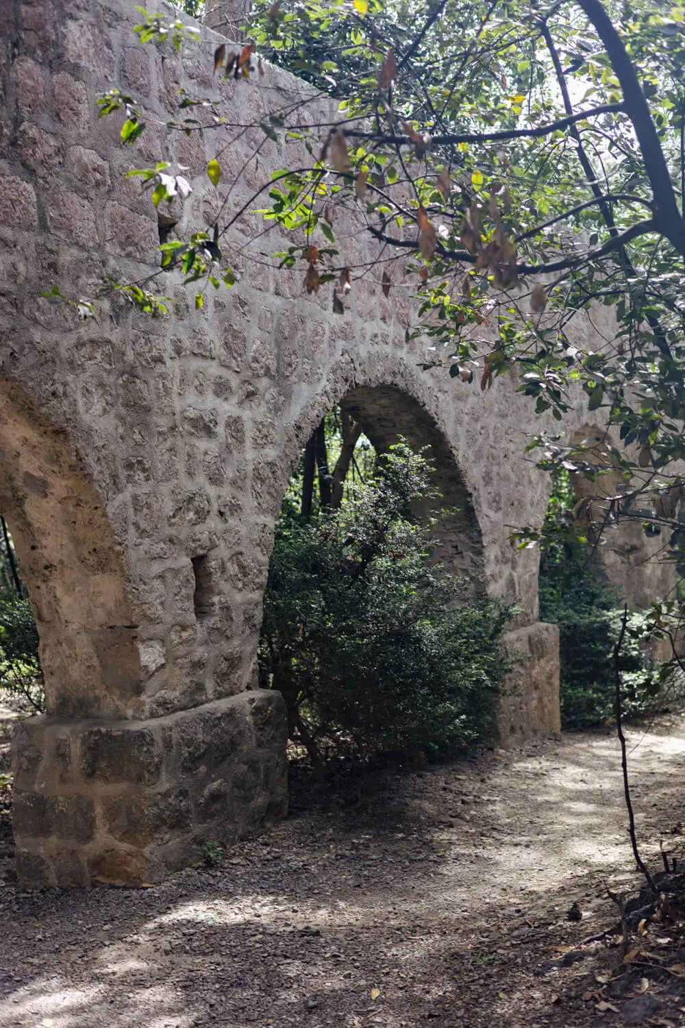 trsteno arboretum croatia