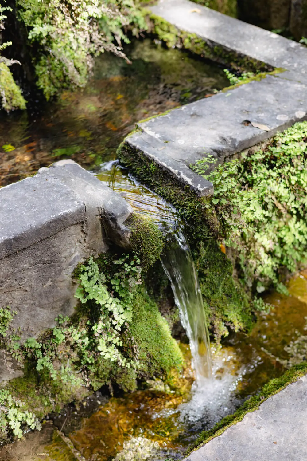 trsteno arboretum croatia