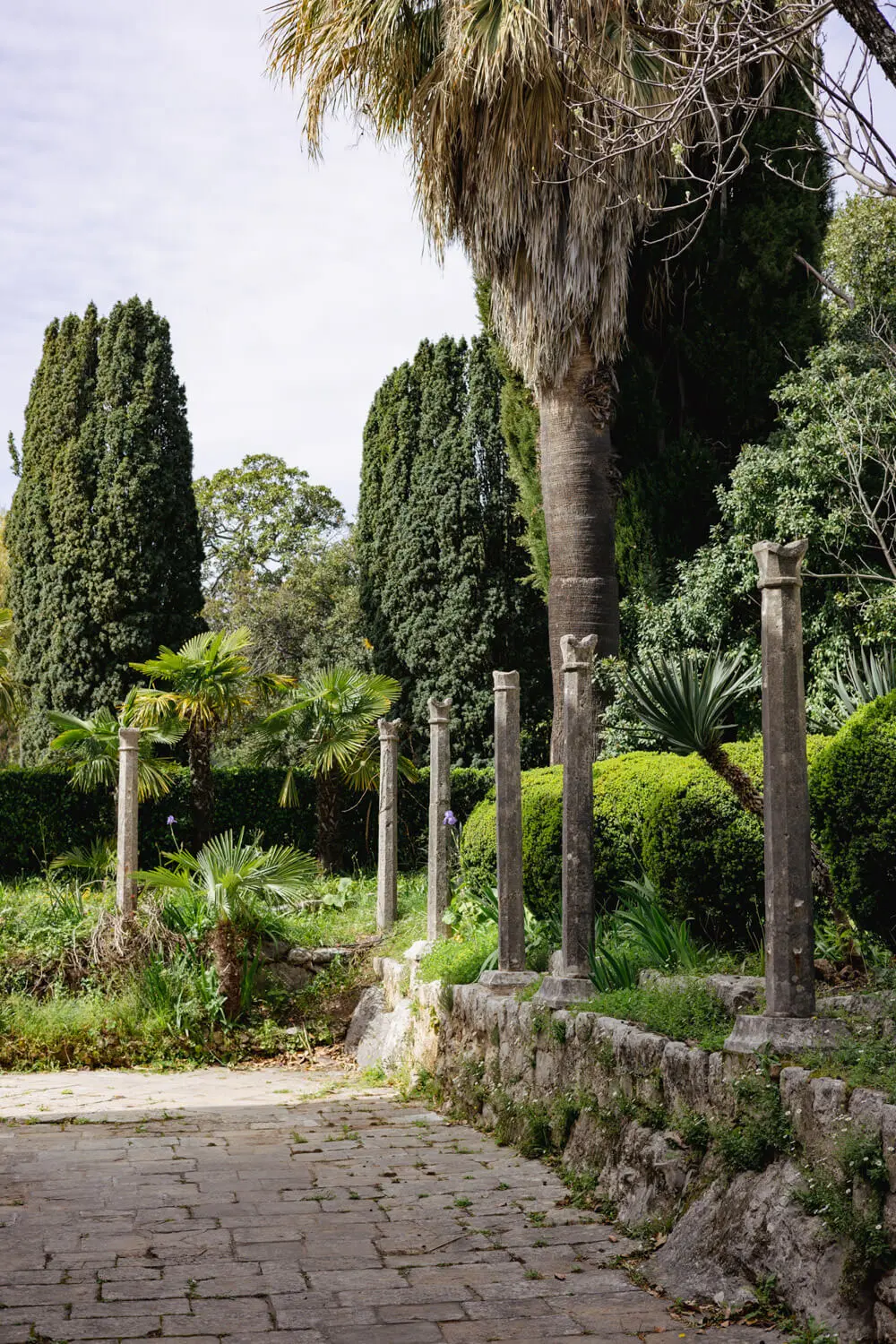 trsteno arboretum croatia