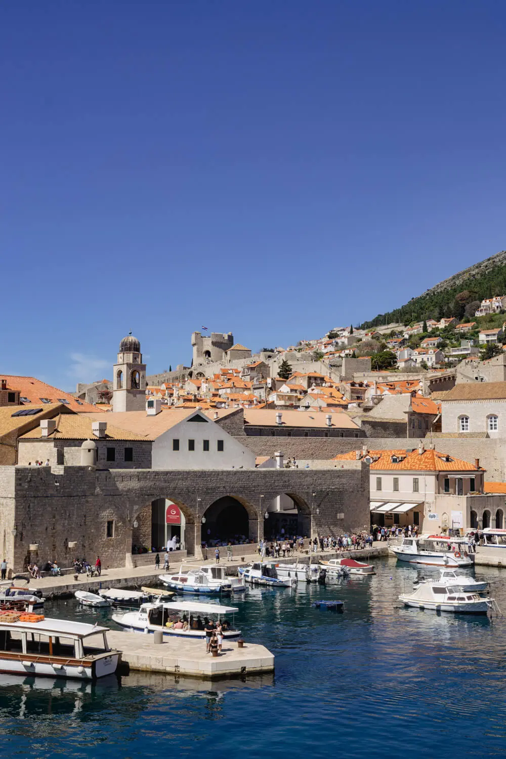 1 DAY IN DUBROVNIK BY CRUISE