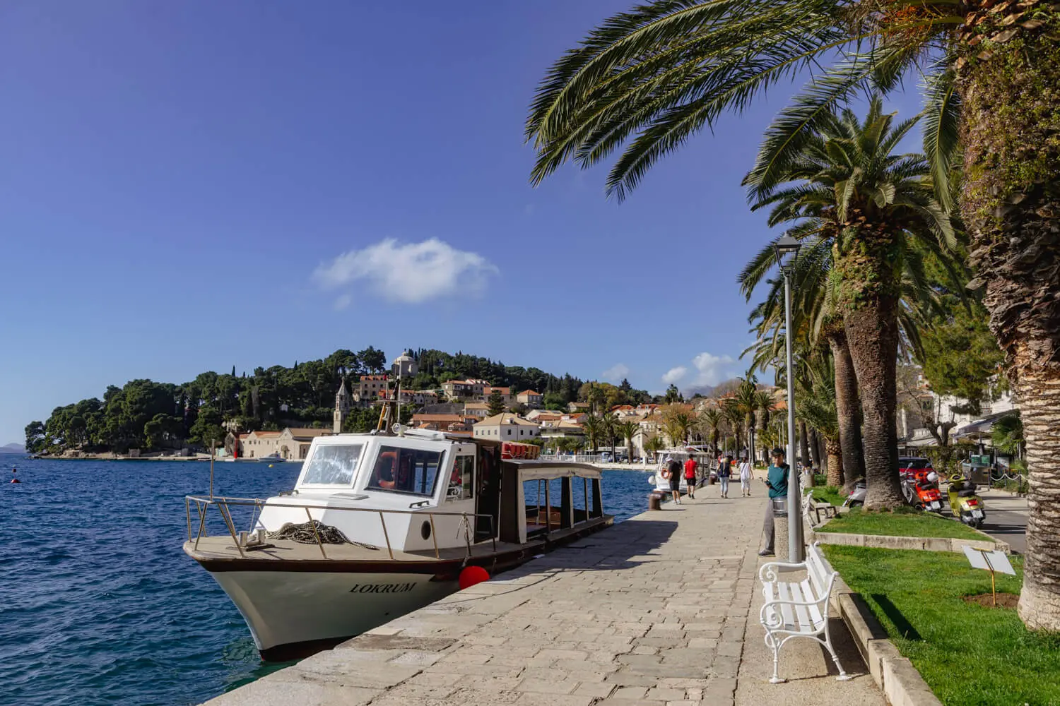 Scenic waterfront with palm trees in Cavtat