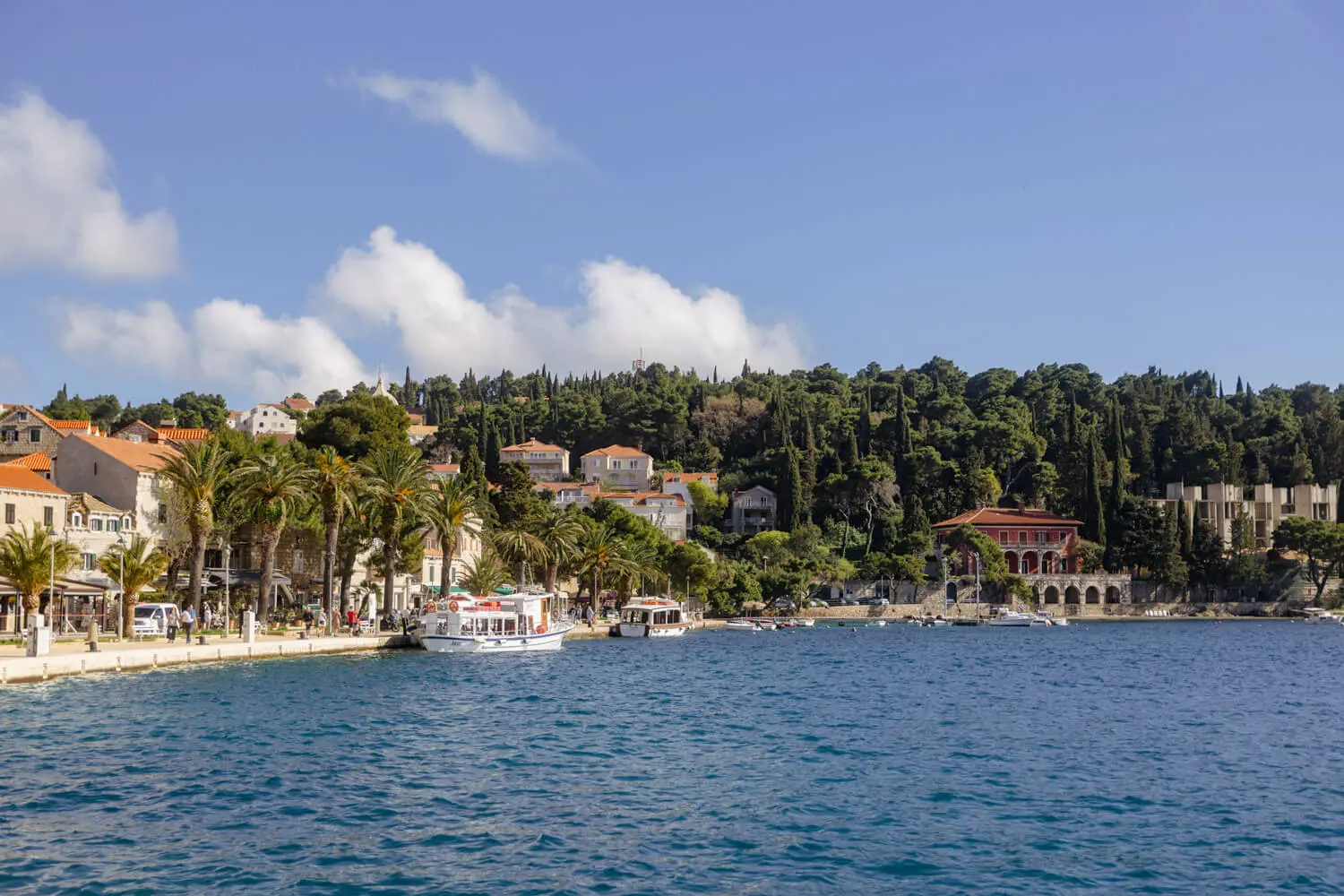 Coastal view with boats and trees in Cavtat