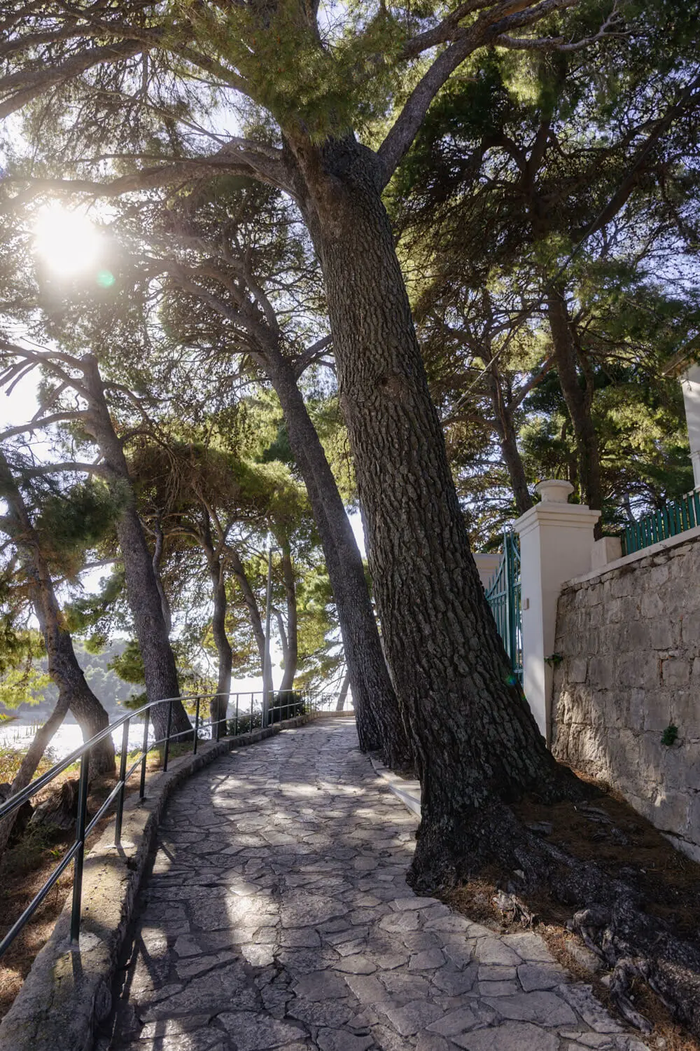 cavtat to dubrovnik