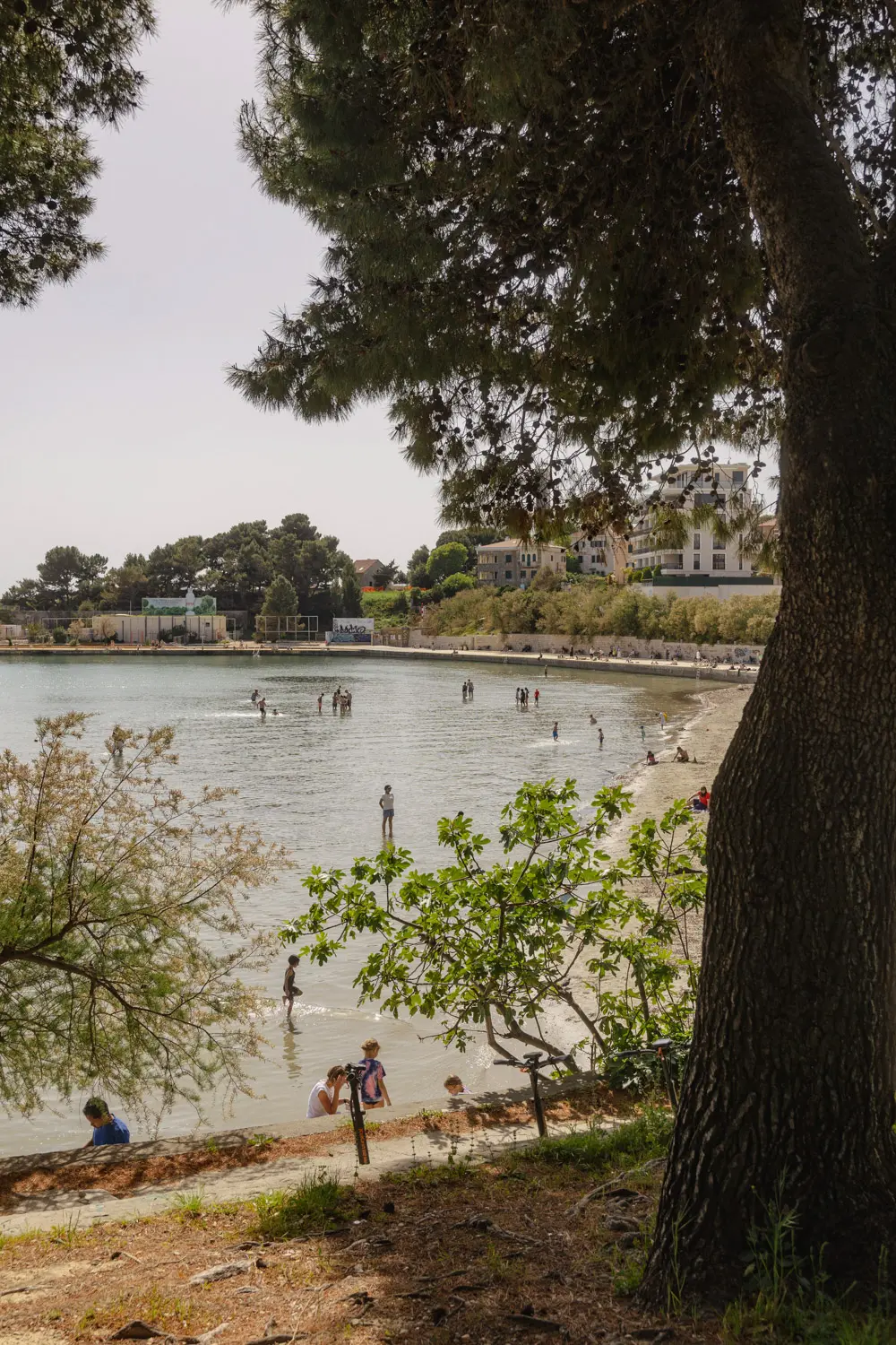 in split with cruise