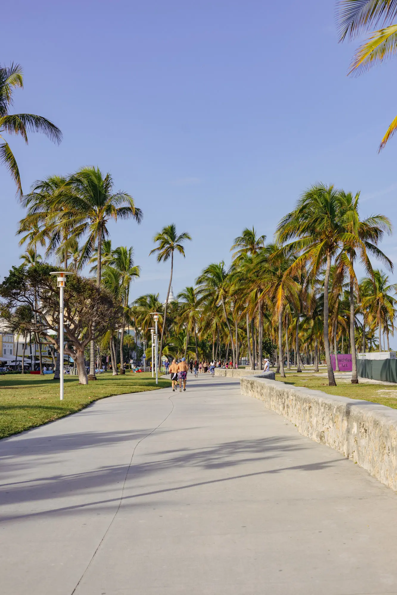 BIKE IN MIAMI