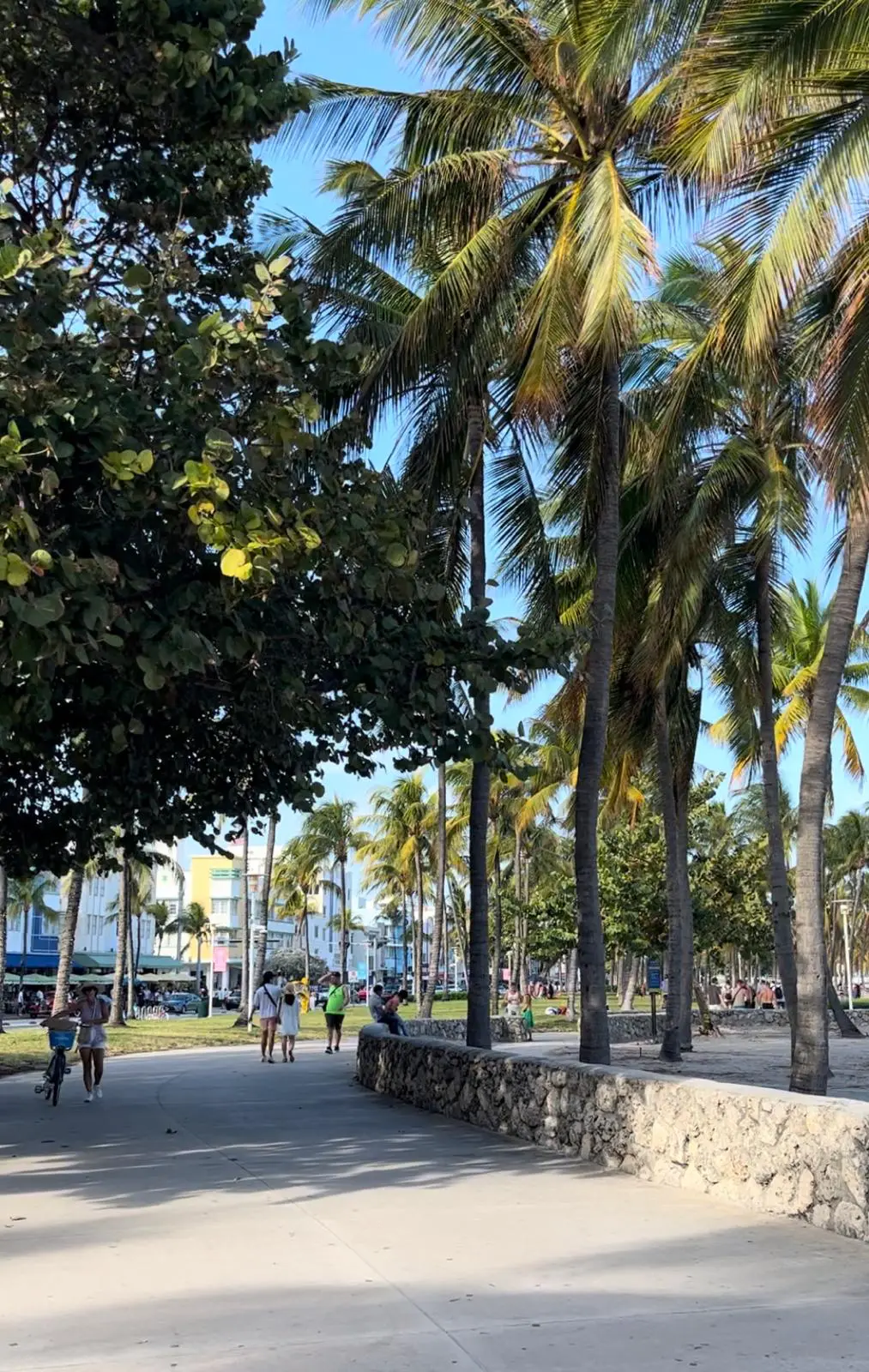 BIKE IN MIAMI