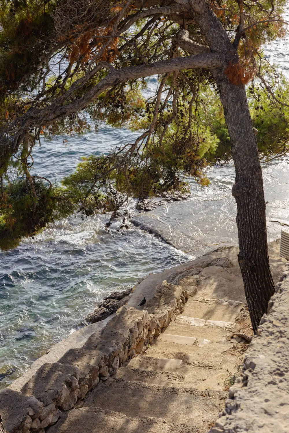 beaches on lopud - lopud port beach