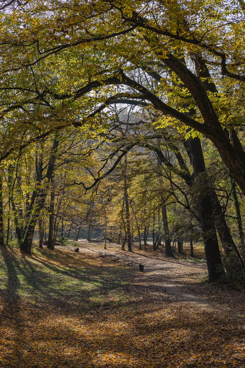 MAKSIMIR PARK