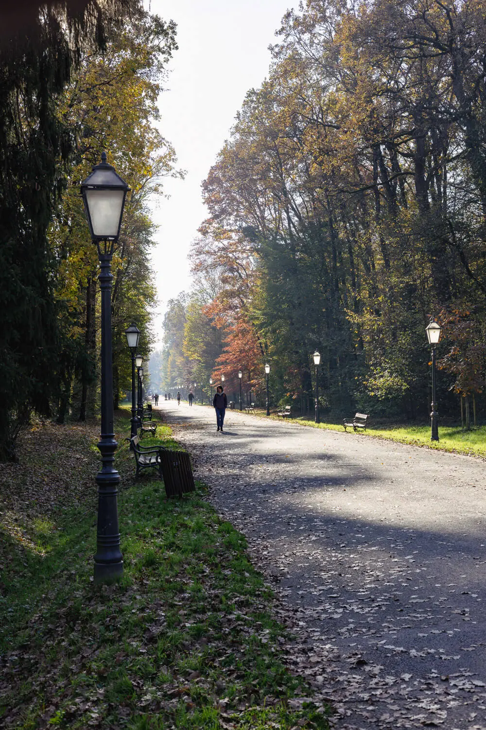 zagreb maksimir
