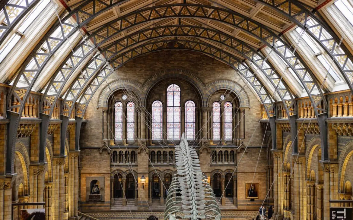 free london museums