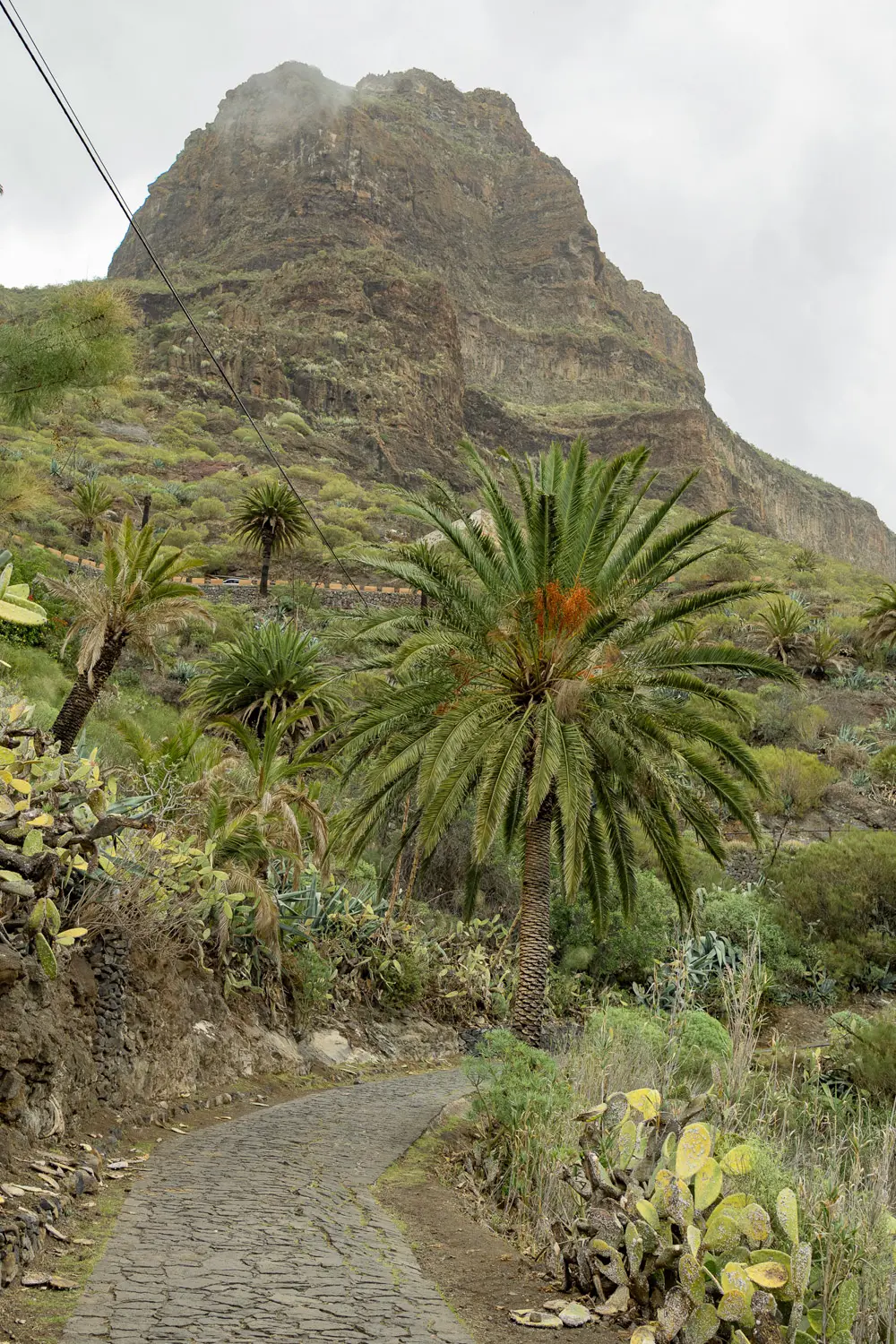 Masca, Tenerife