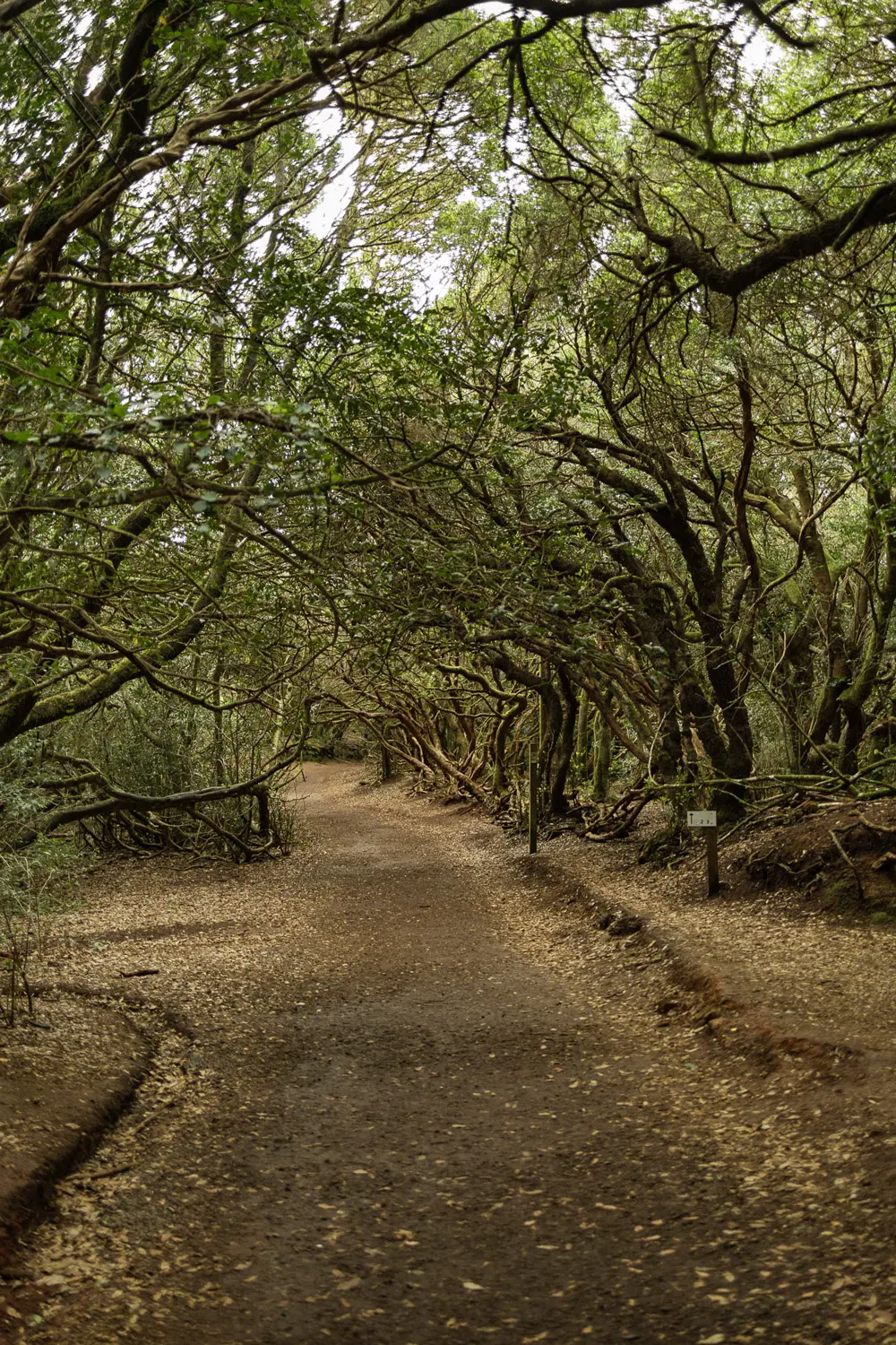 anaga rural park