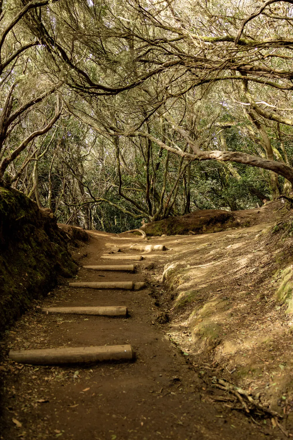 anaga rural park