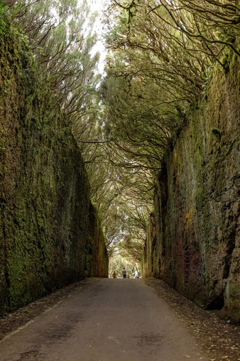 HOW TO VISIT ANAGA RURAL PARK, TENERIFE: A COMPLETE GUIDE (2025)
