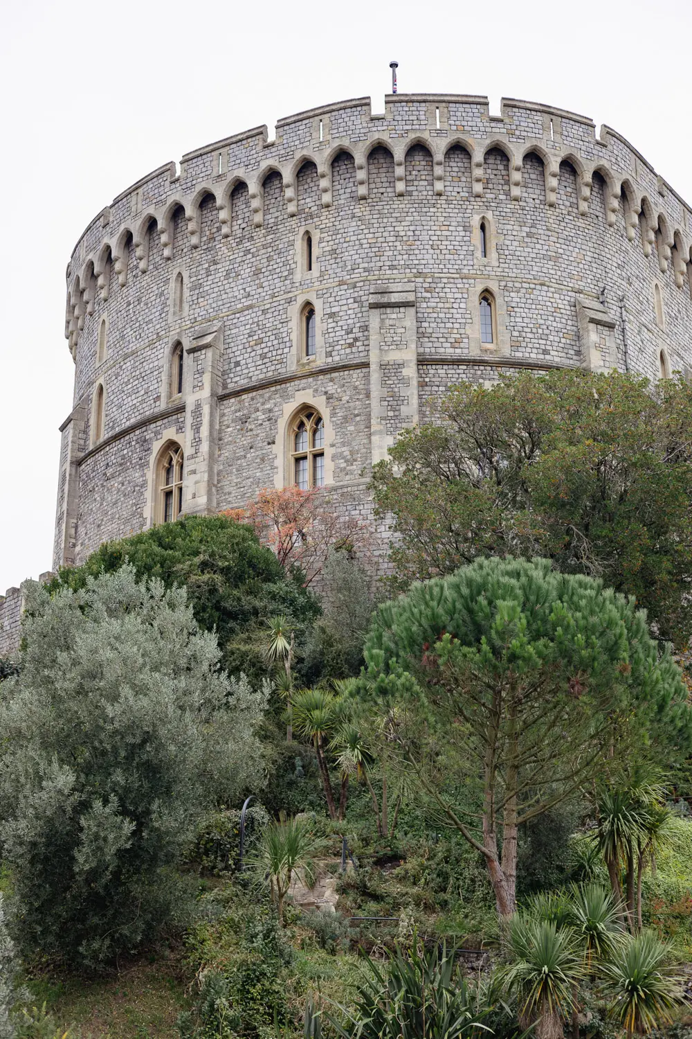 cambridge or windsor
