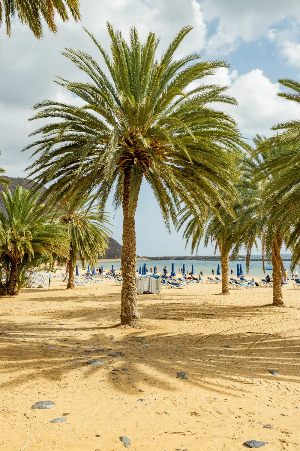 IS TENERIFE WORTH VISITING