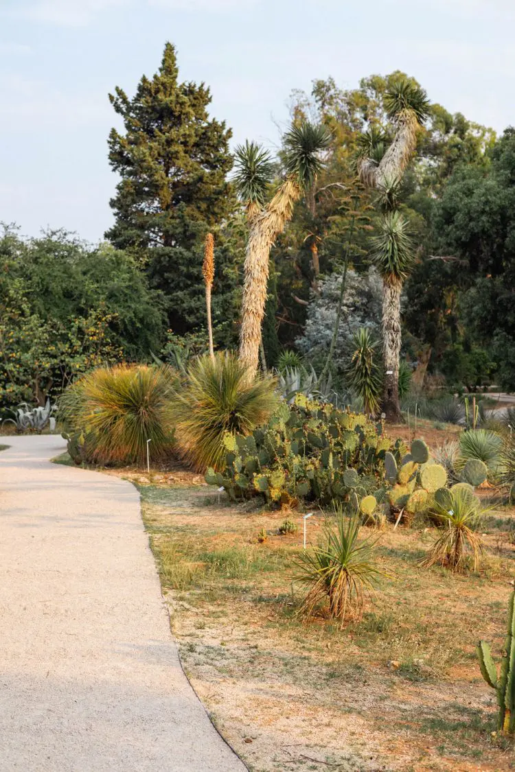 lokrum in september