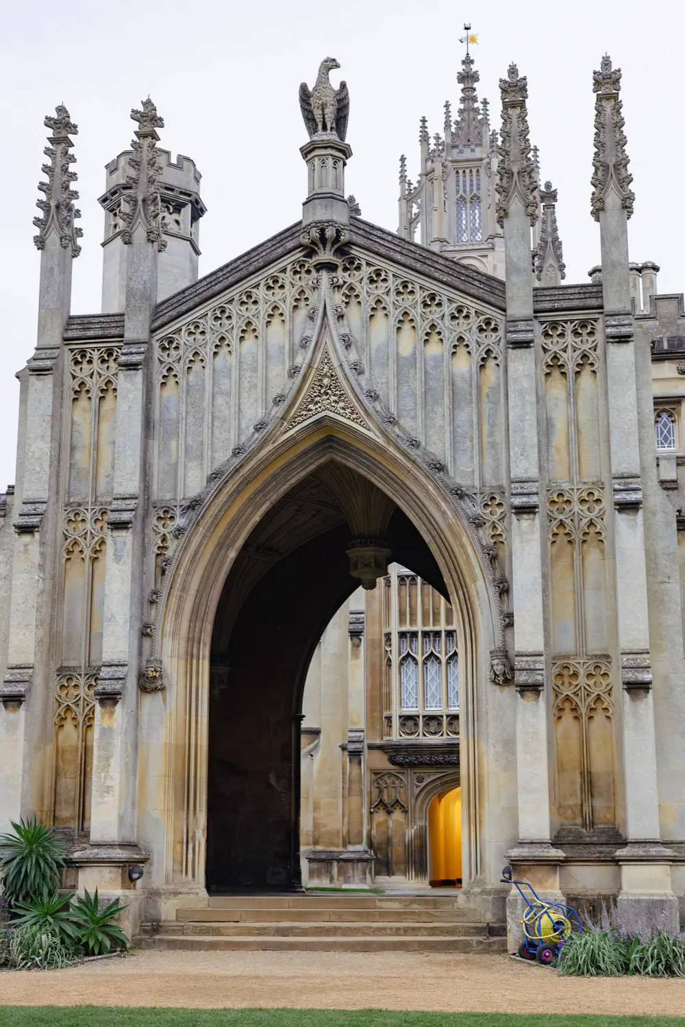 cambridge or windsor