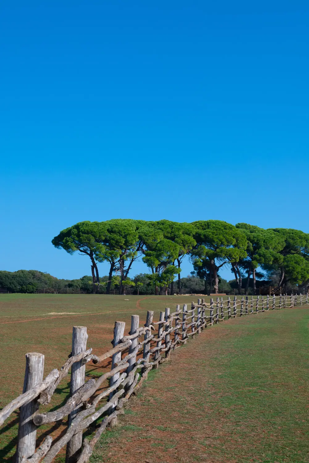 is istria worth visiting