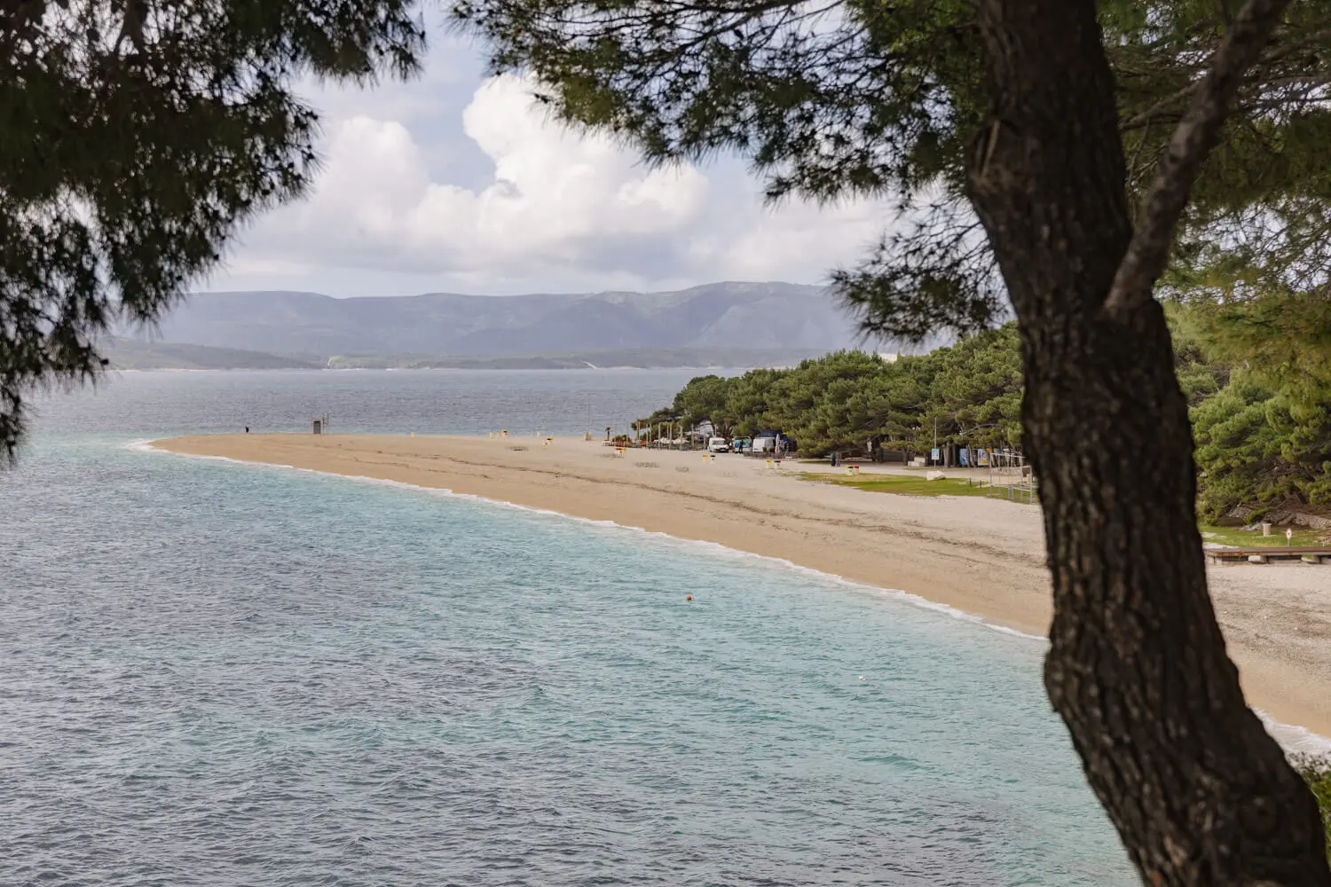 split to brac no car