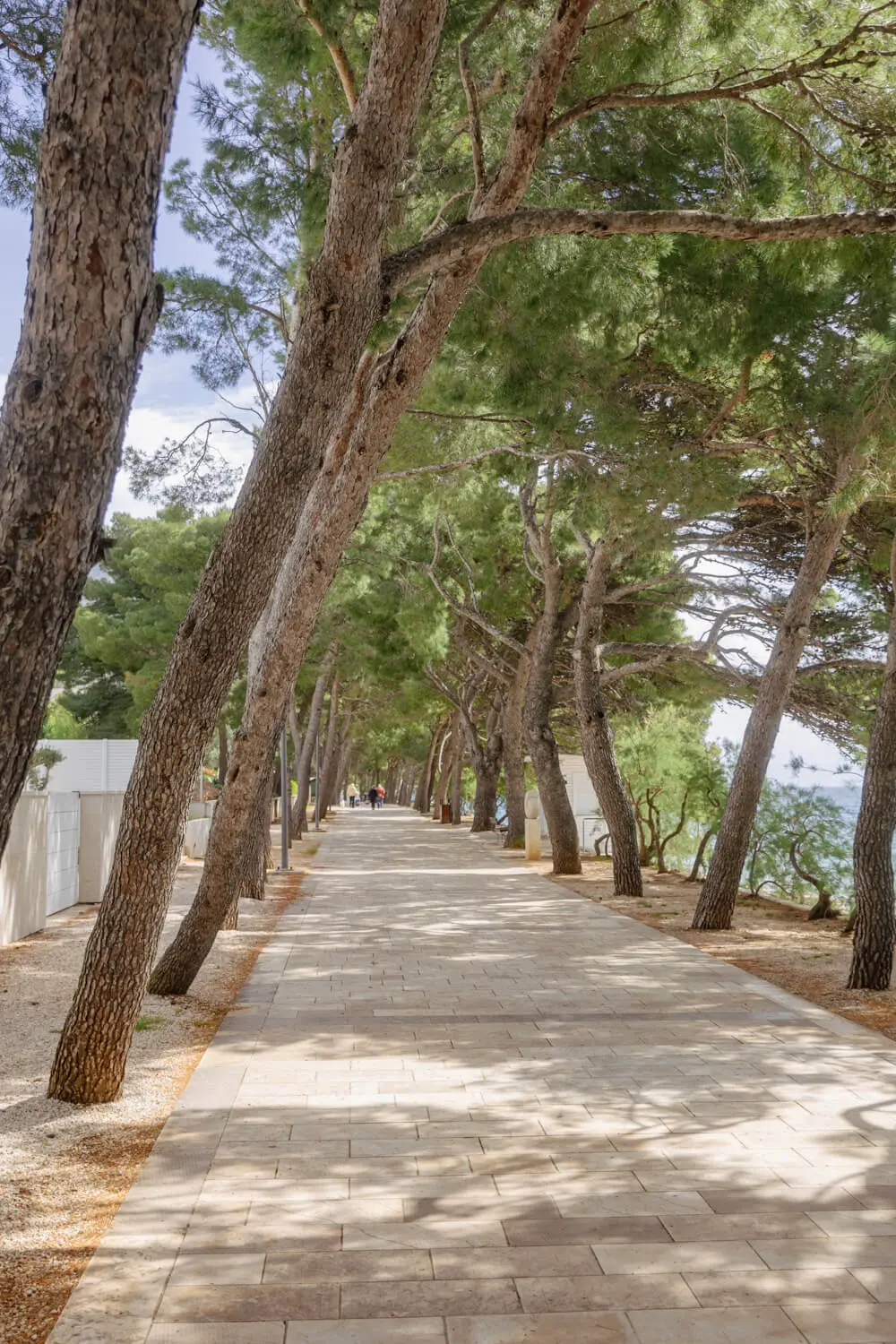 Split to Brac