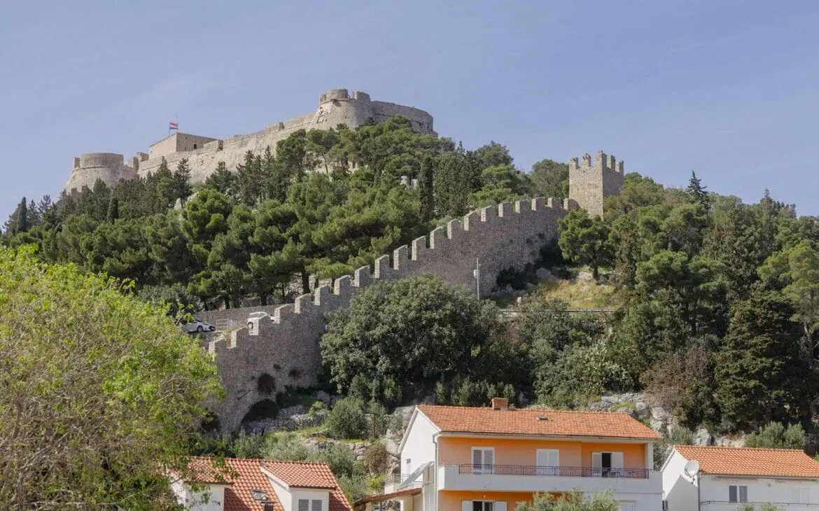 Castle on a hill with trees
