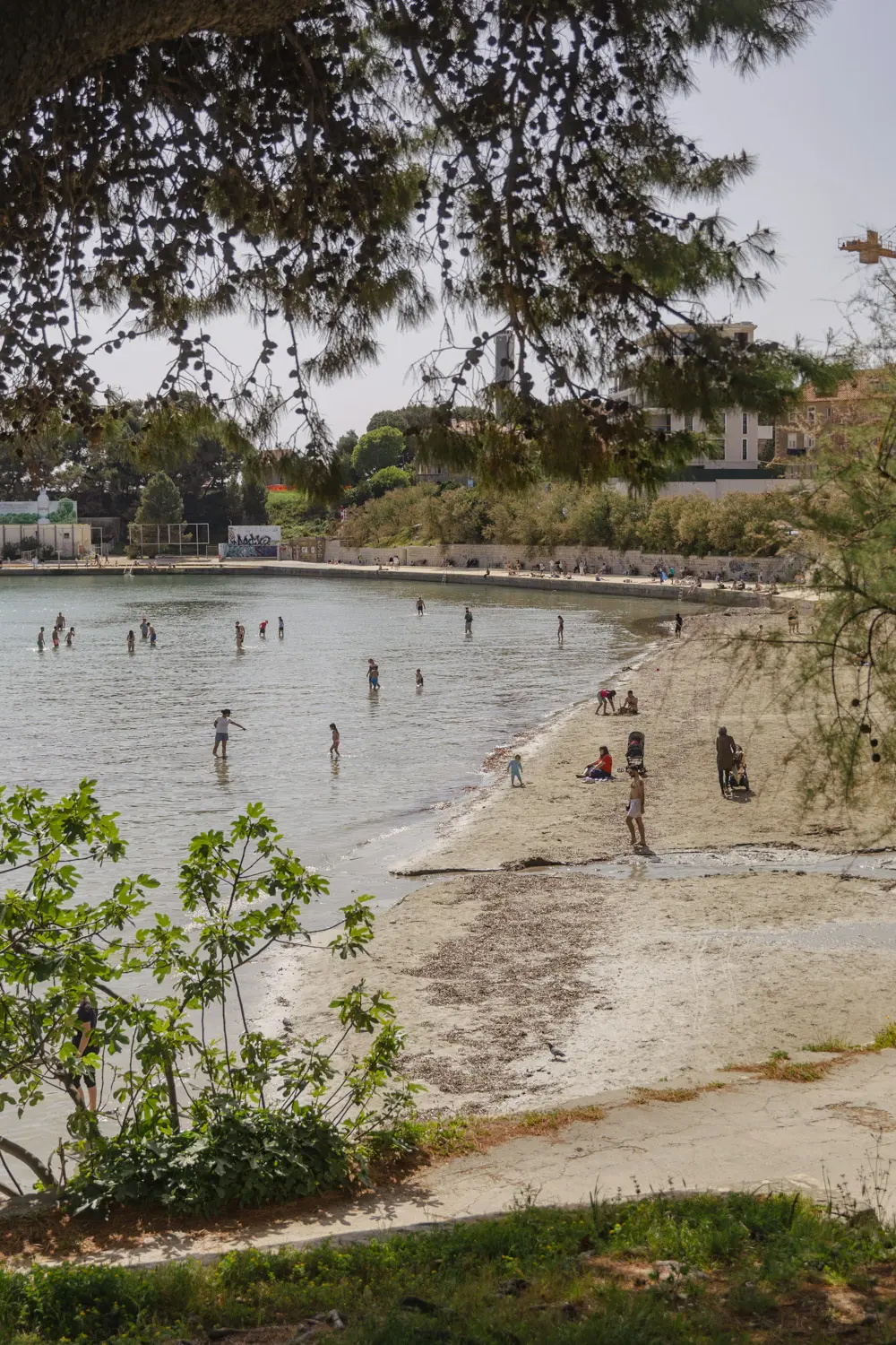 split beaches
