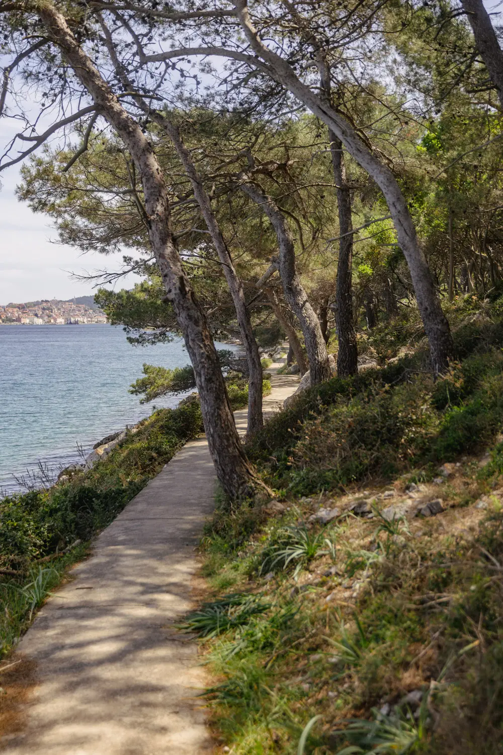 losinj island