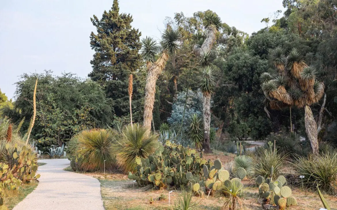 lokrum botanical garden