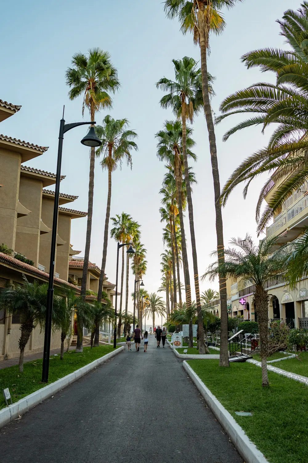 tenerife in december