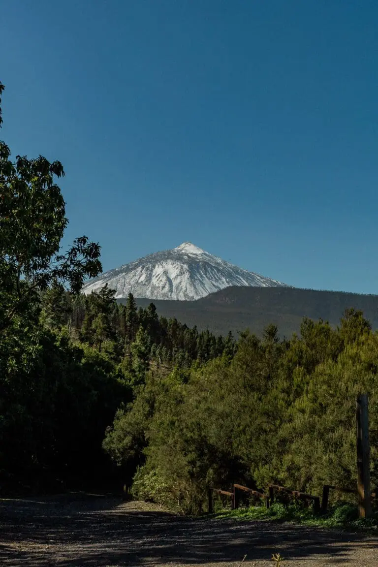 tenerife in december