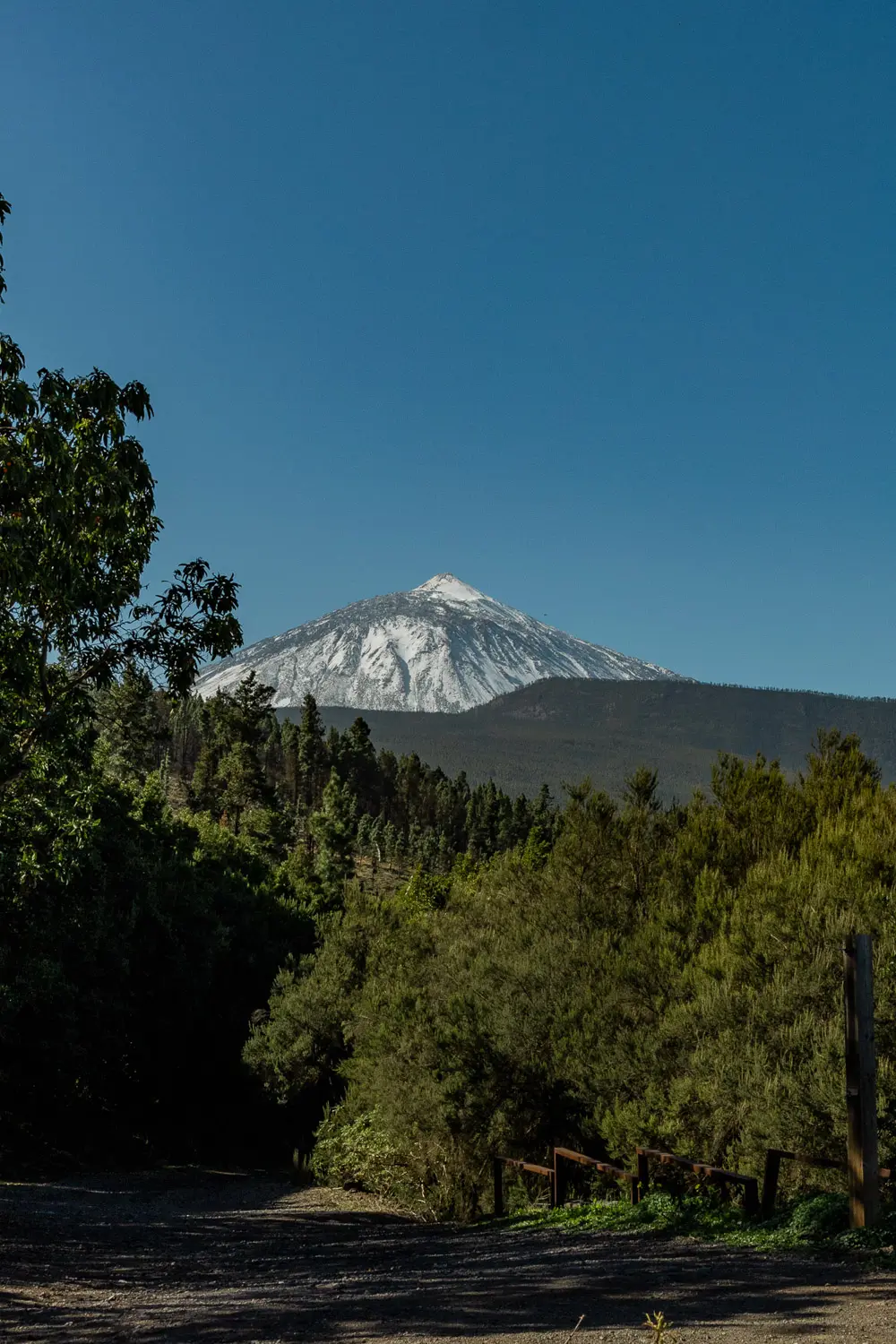 tenerife in december