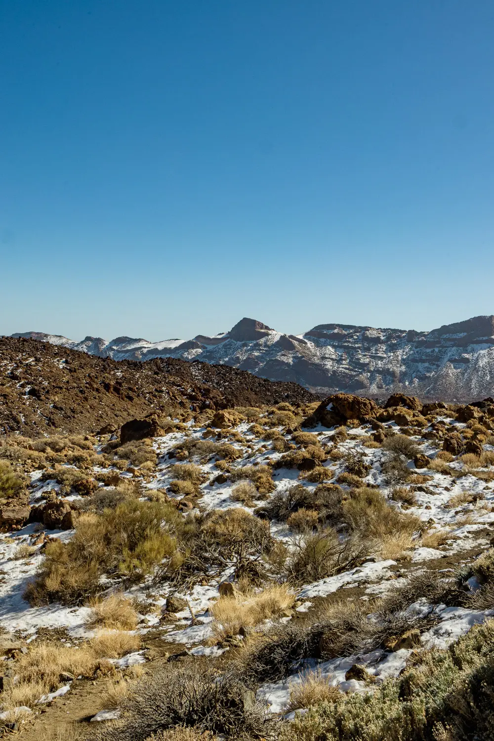 tenerife in december