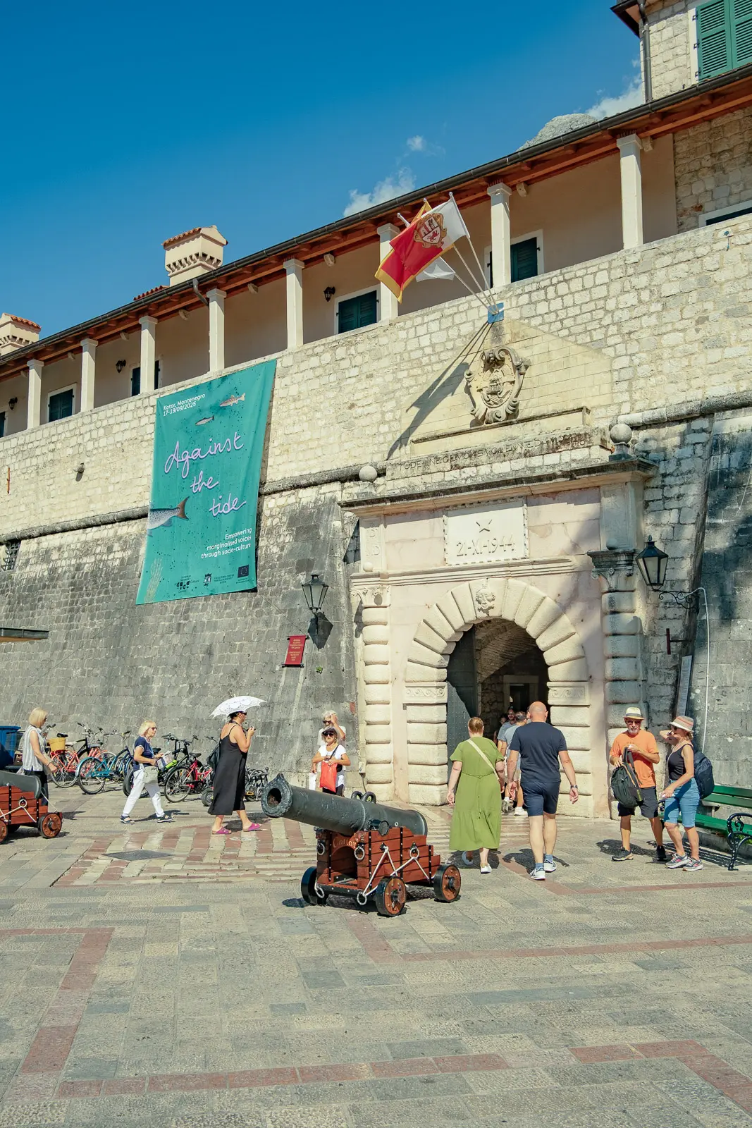 dubrovnik to kotor day trip