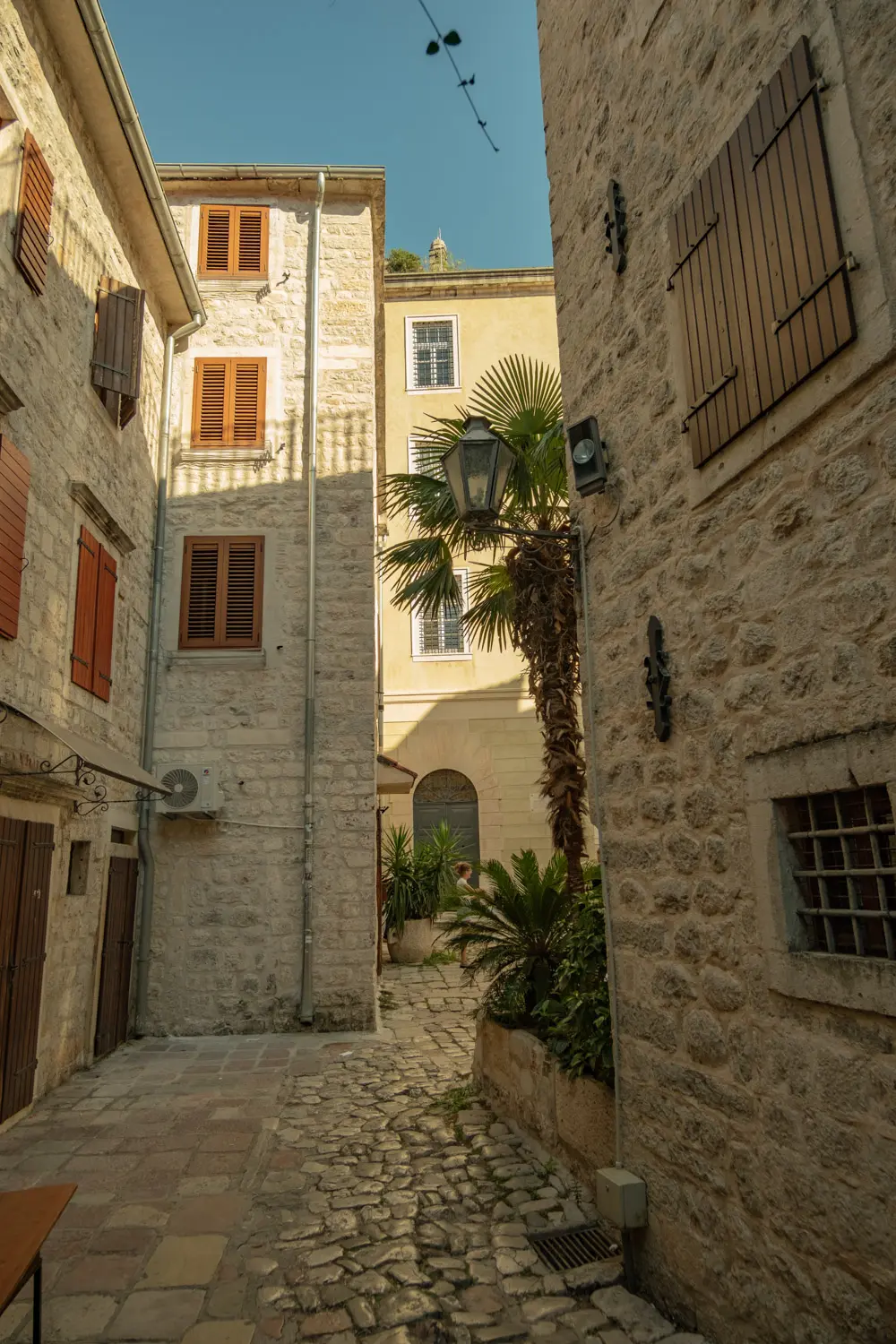 dubrovnik to kotor day trip