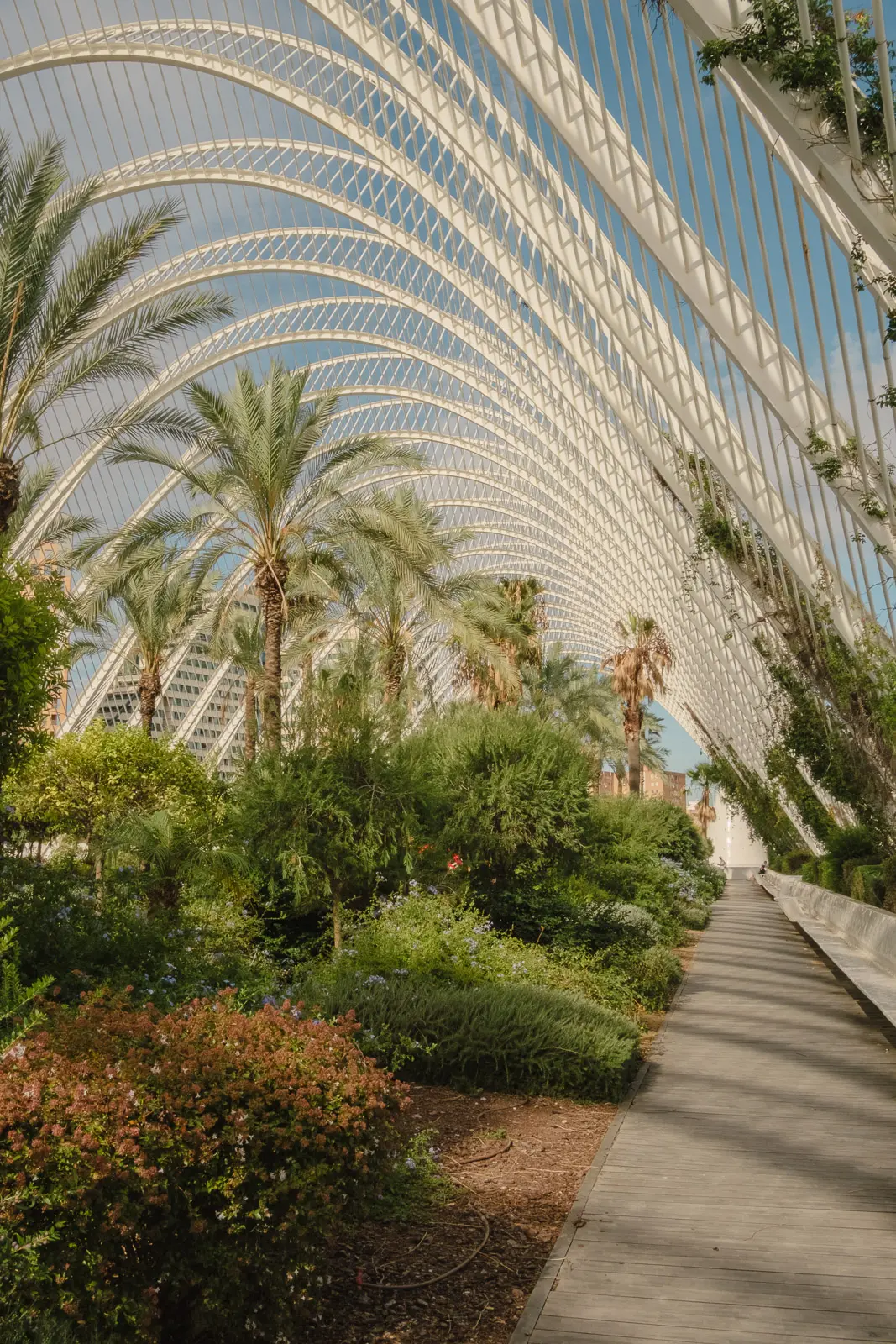 things to do in valencia