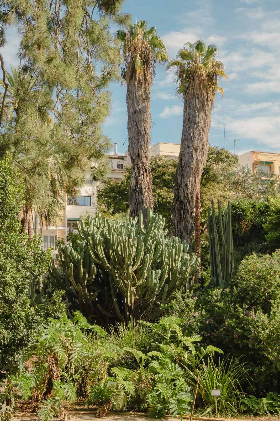 things to do in valencia
